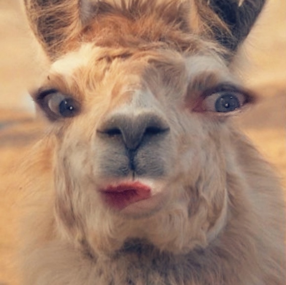 Meet your Posher, Heather - Picture 3 of 4